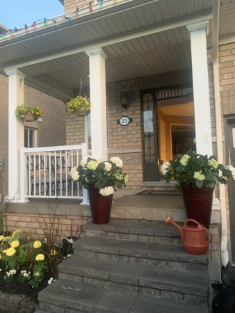 Room 1 guest, with garden