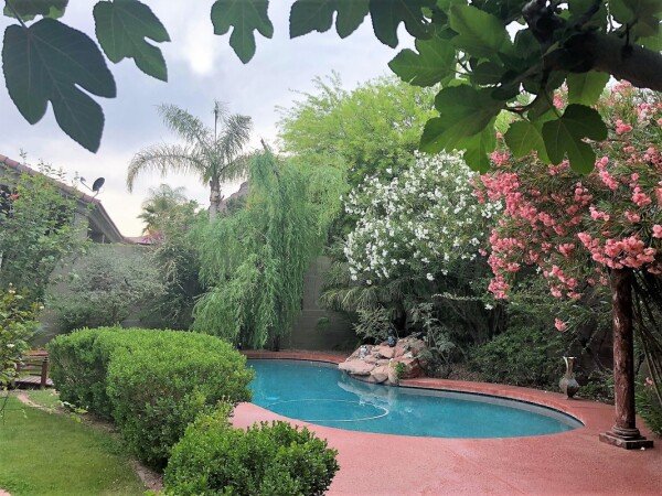 Room 2 guests, with pool