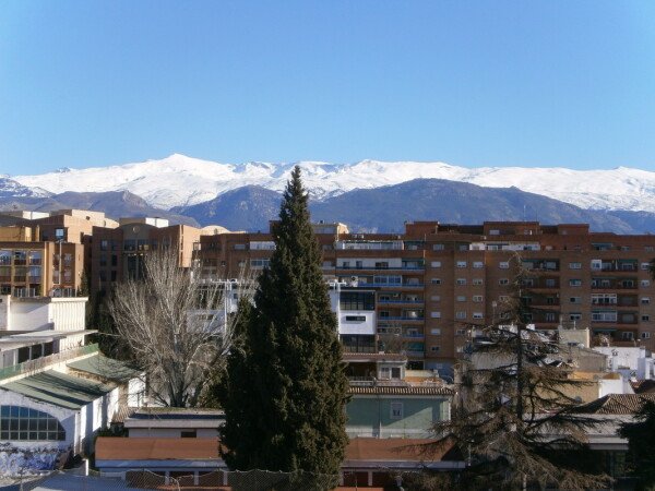 Habitación 4 huéspedes