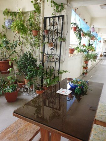 Room 2 guests, with gym