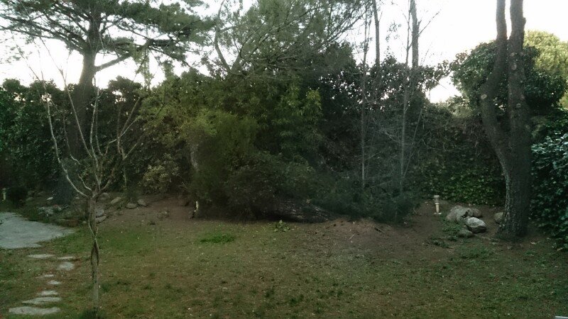 Habitación 4 huéspedes, con piscina