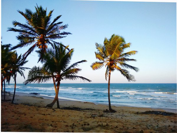 Casa 2 quartos, com jardim