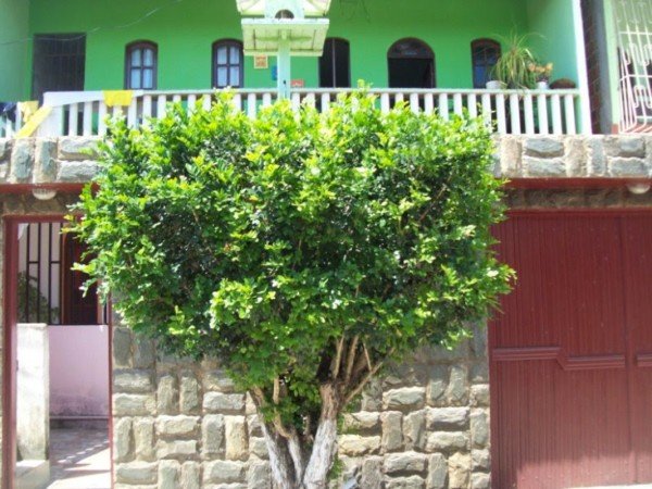 Apartamento 1 quarto, com wifi