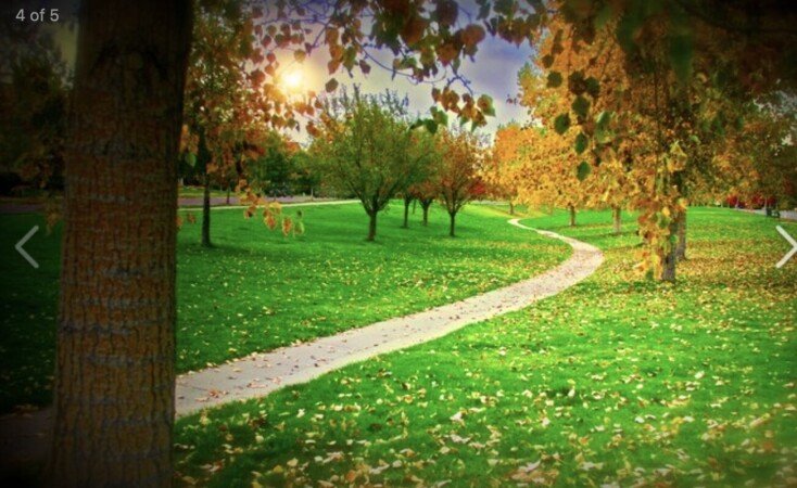 Room 1 guest, with wifi