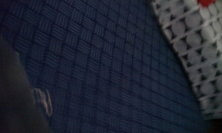 Room 6 guests, with garden