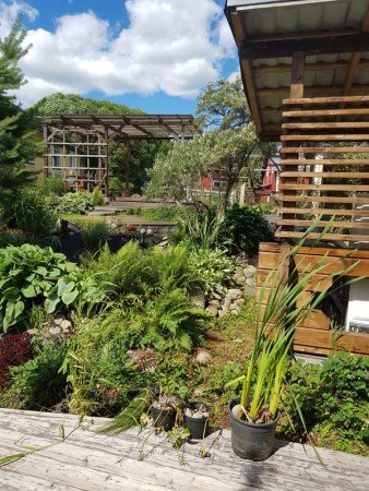 Habitación 6 huéspedes, con gimnasio