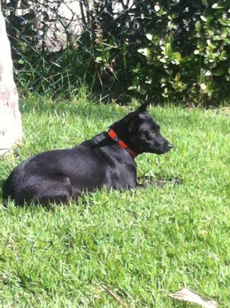 Room 1 guest, with garden