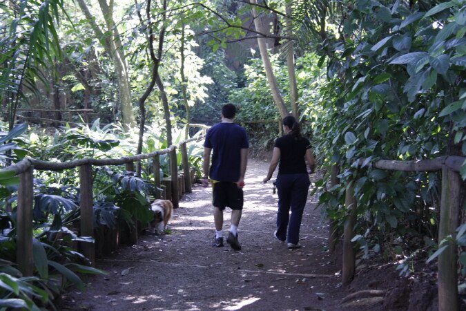 Room 3 guests, with garden