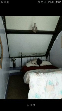 Camera 1 ospite, con wifi