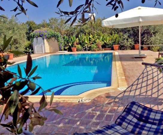 Room 5 guests, with pool