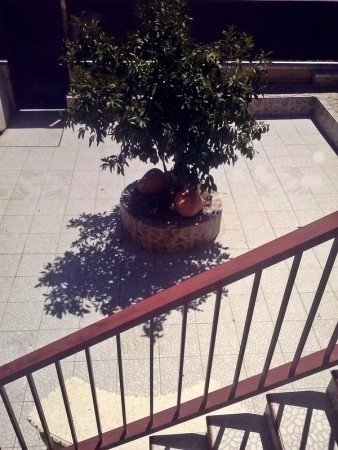 Room 3 guests, with garden