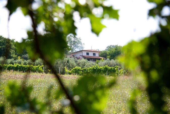 Camera 5 ospiti, con piscina