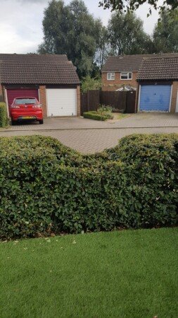 Chambre moderne, 3 voyageurs, avec jardin