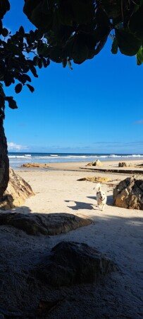 Casa 1 quarto, com jardim