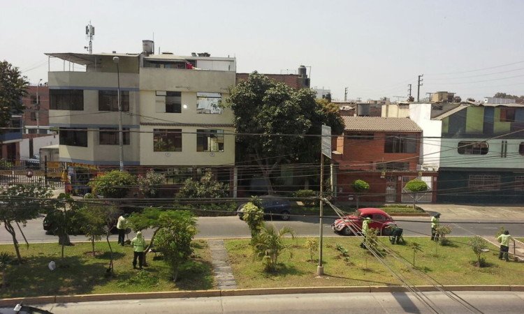 Room 6 guests, with garden