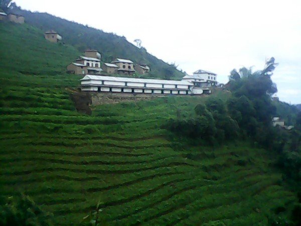 Room 6 guests, with garden