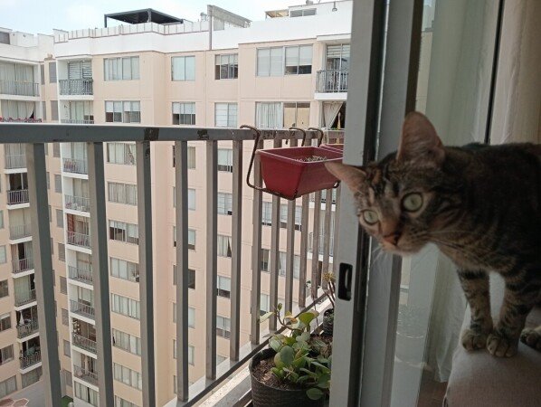 Habitación 1 huésped, con wifi