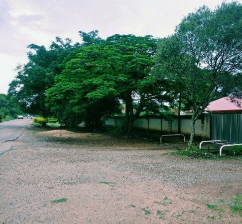Room 7 guests, with garden