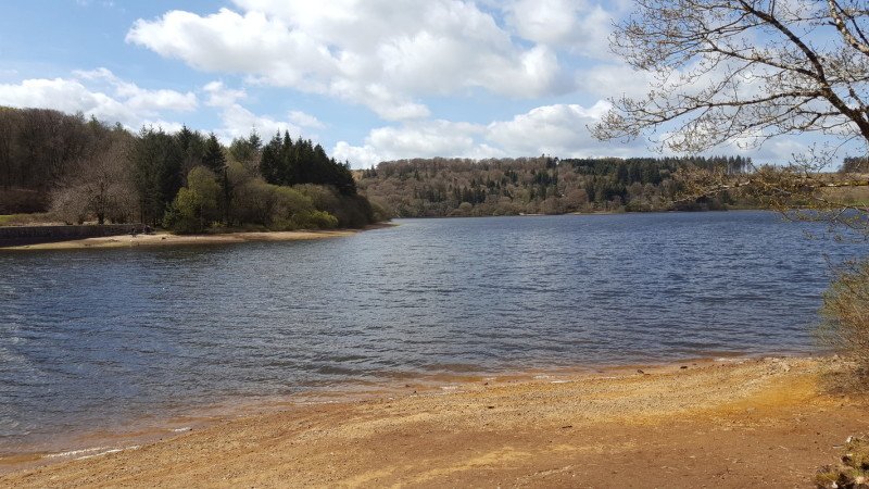 Chambre 1 voyageur, avec jardin