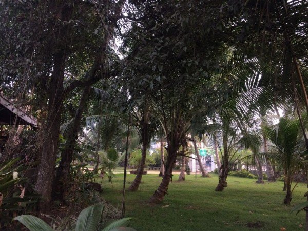 Room 4 guests, with garden