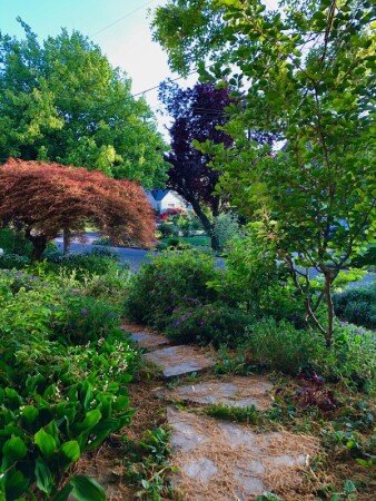 Room 2 guests, with garden