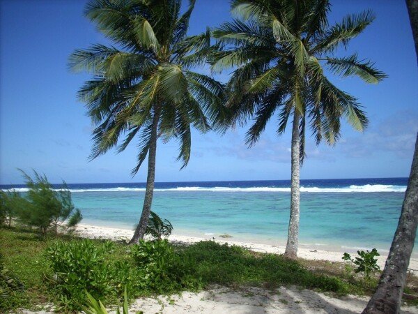 Room 9 guests, with garden