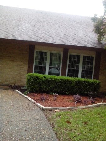 Room 2 guests, with garden