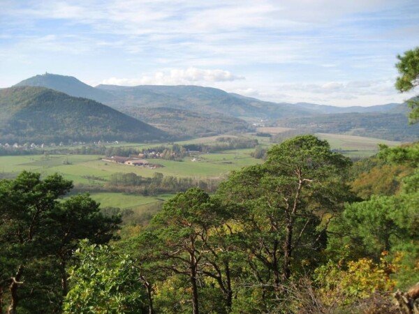 Room 2 guests, with wifi