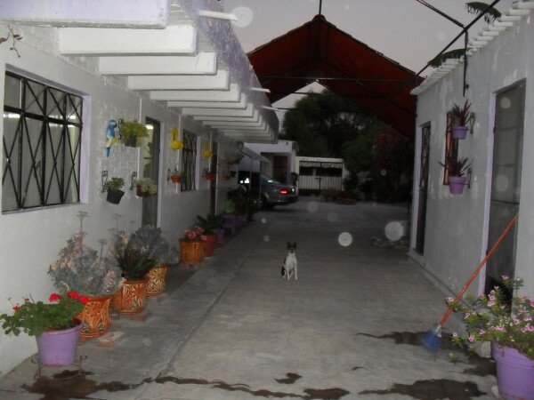 Habitación 2 huéspedes, con jardín