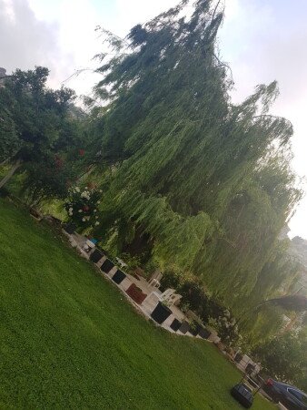 Room 4 guests, with garden