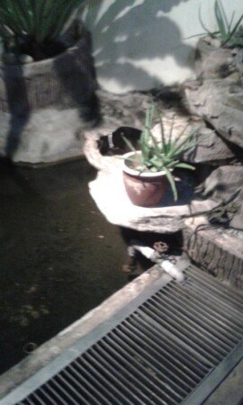 Room 5 guests, with wifi