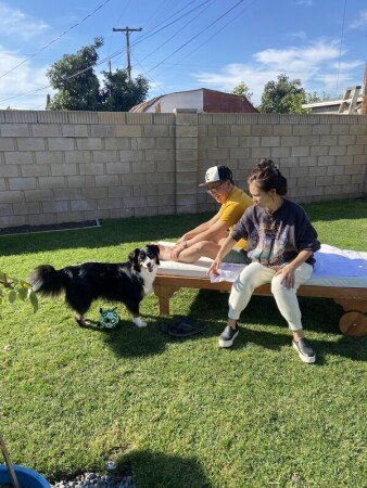 Room 1 guest, with garden