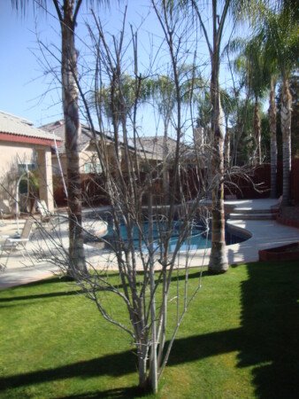 Room 1 guest, with pool