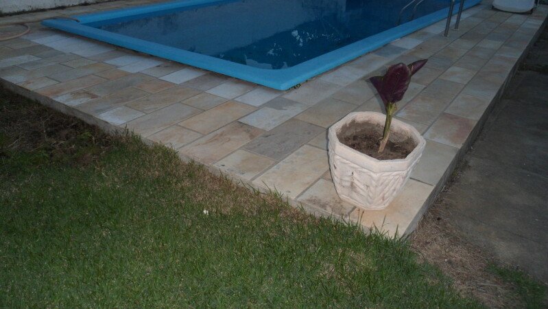 Room 6 guests, with pool