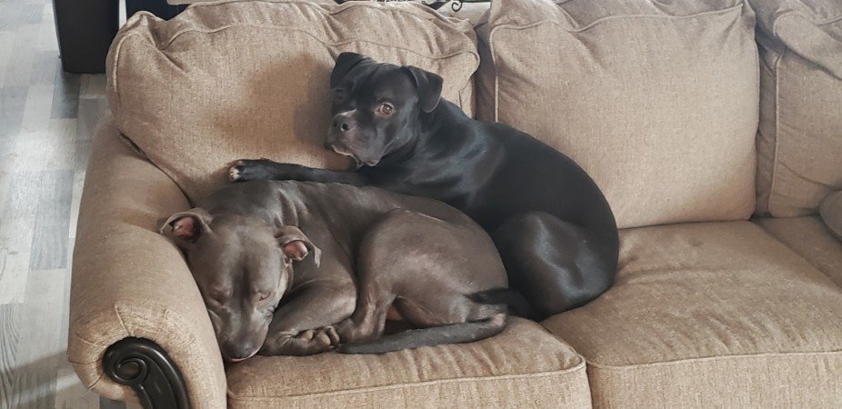 Room 2 guests, with wifi