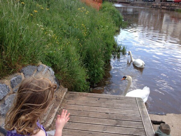 Accommodation 1 bedroom