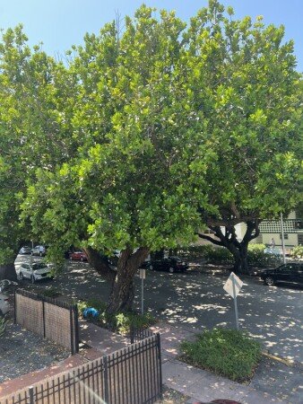 Room 1 guest, with wifi