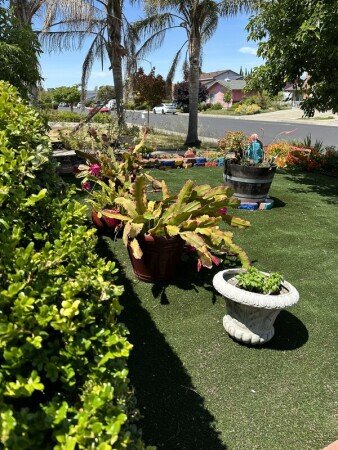 Habitación 1 huésped, con jardín