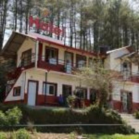 Room 17 guests, with garden