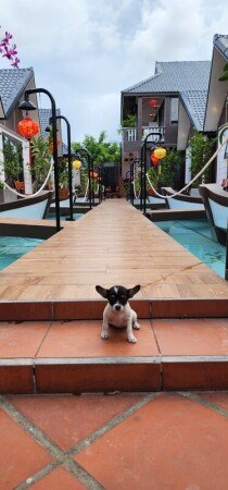 Room 21 guests, with garden