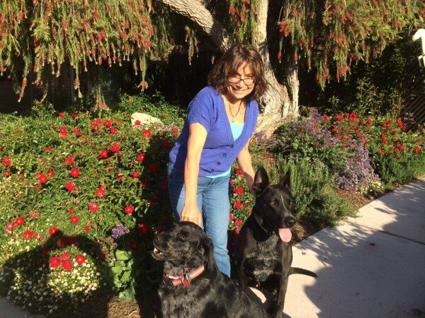 Room 2 guests, with garden