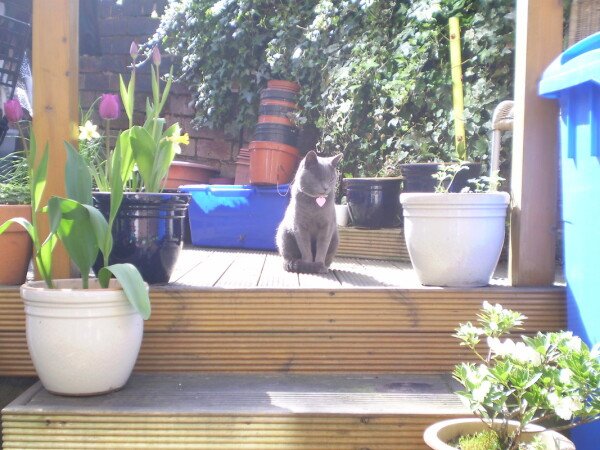 Chambre 4 voyageurs, avec jardin