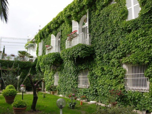 Camera 2 ospiti, con giardino