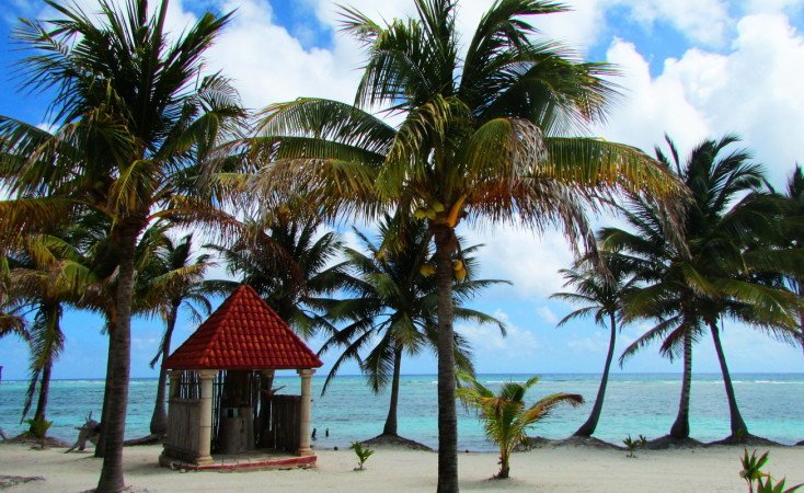 Room 2 guests, with garden