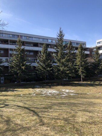 Room 3 guests, with pool