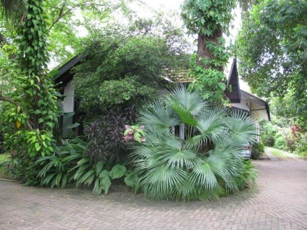 Room 2 guests, with garden