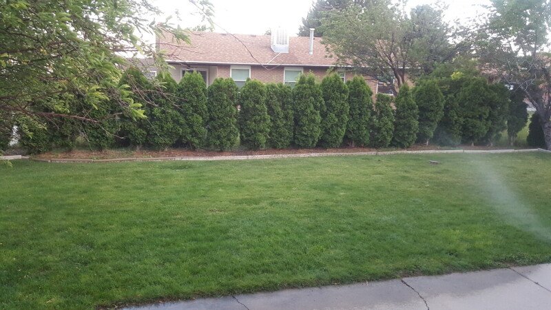 House 3 bedrooms, with garden