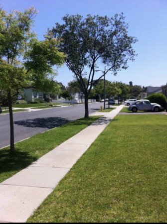 Room 2 guests, with garden