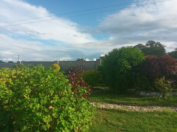 Room 4 guests, with garden