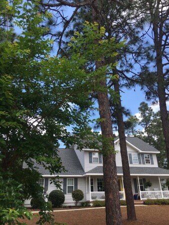 Room 2 guests, with garden